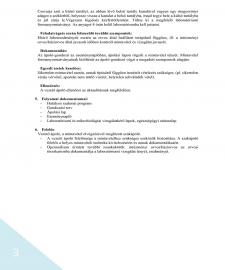images/PROTOKOLOK/APOLASI PROTOKOLL/APOLASI PROTOKOLL_2019_vegleges_1188.jpg